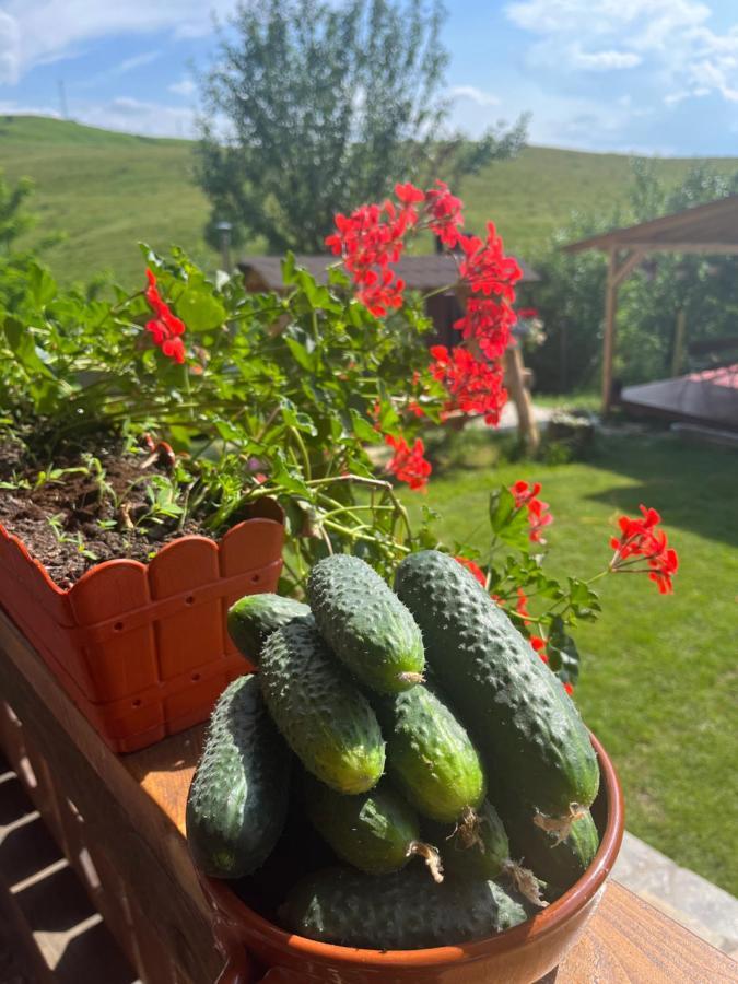 Casa Eden Fit Villa Faget  Екстериор снимка