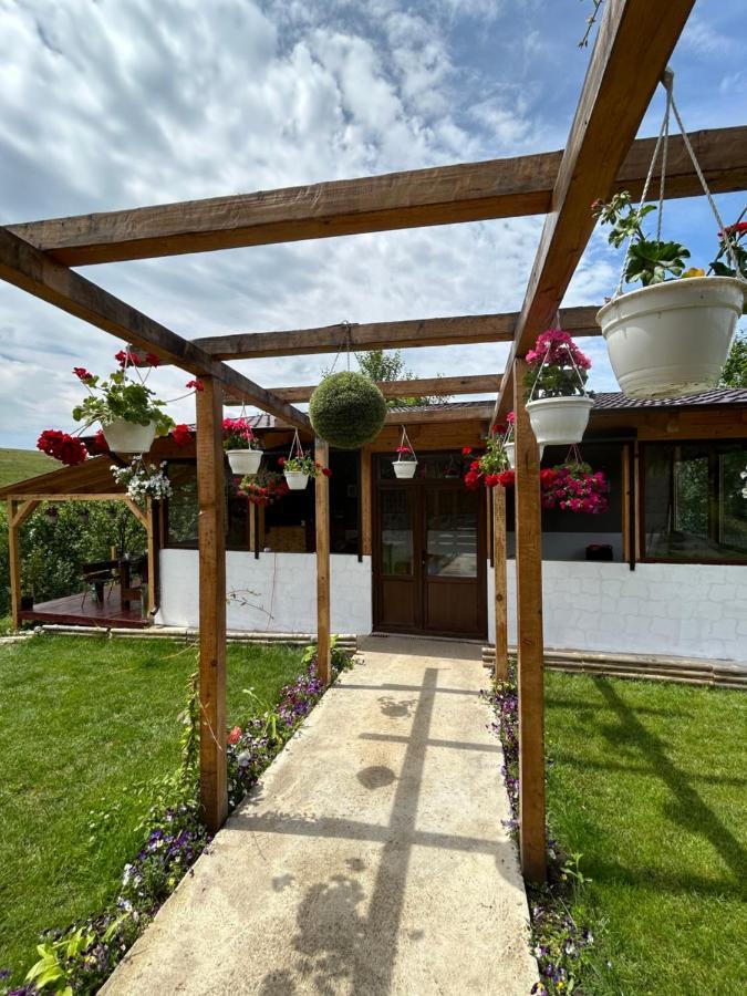 Casa Eden Fit Villa Faget  Екстериор снимка