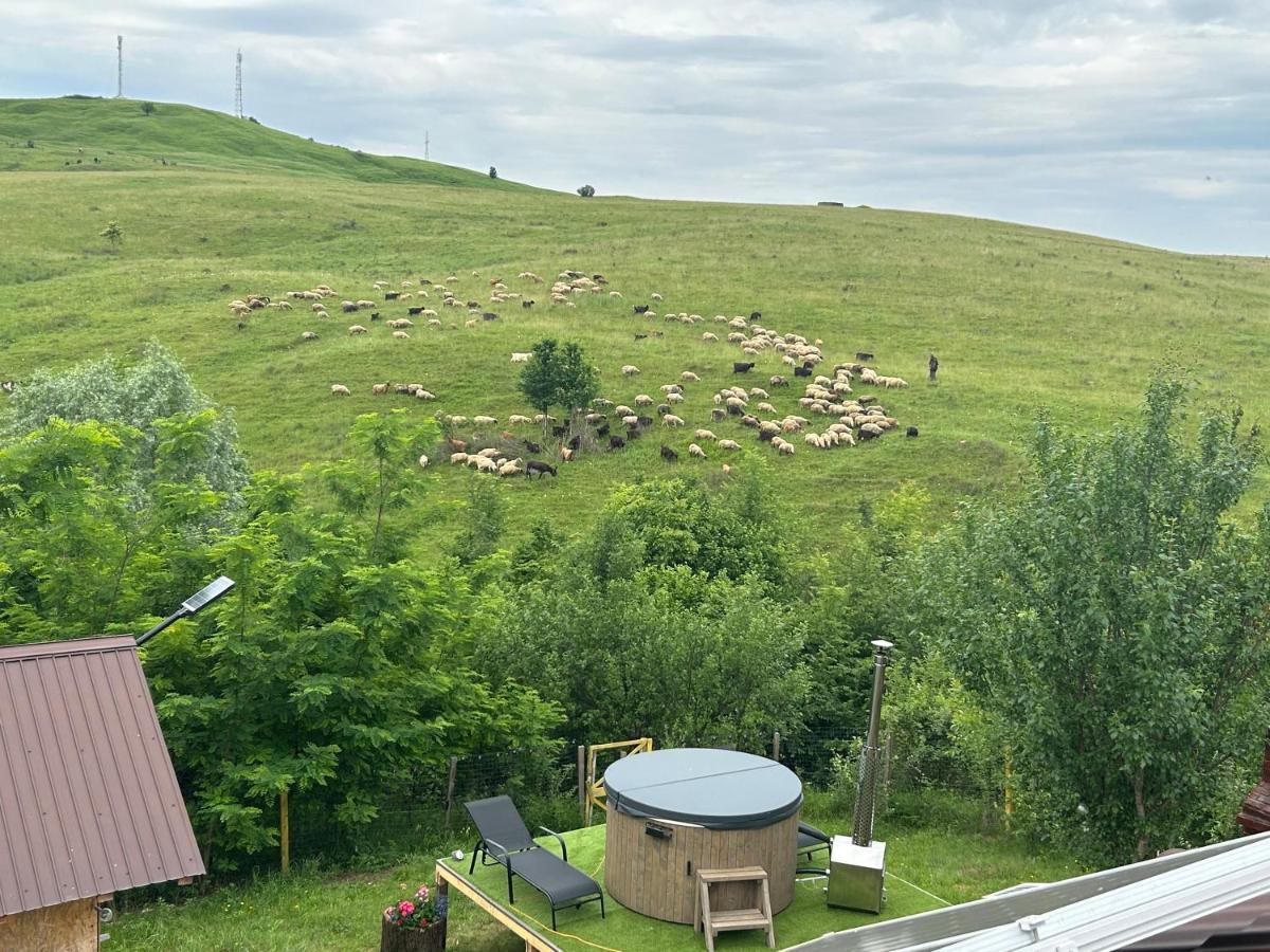 Casa Eden Fit Villa Faget  Екстериор снимка